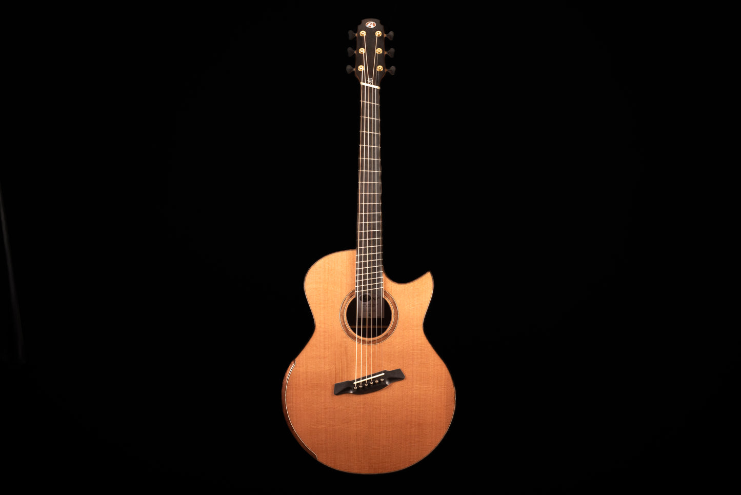 AVENIR 25 SERIES AUDITORIUM CEDAR WENGE FAN FRET
