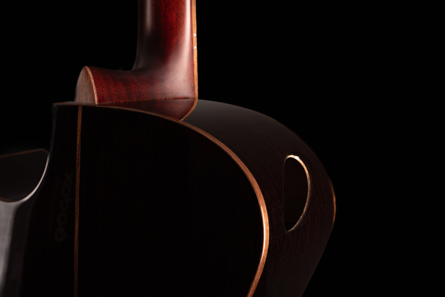 AVENIR 25 SERIES LARGE AUDITORIUM ENGELMANN SPRUCE WENGE FAN FRET