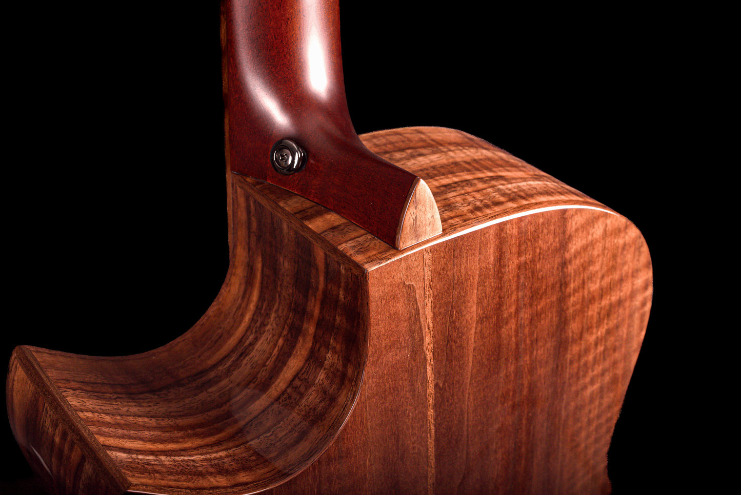 AVENIR 25 SERIES AUDITORIUM SITKA SPRUCE FLAMED WALNUT FAN FRET