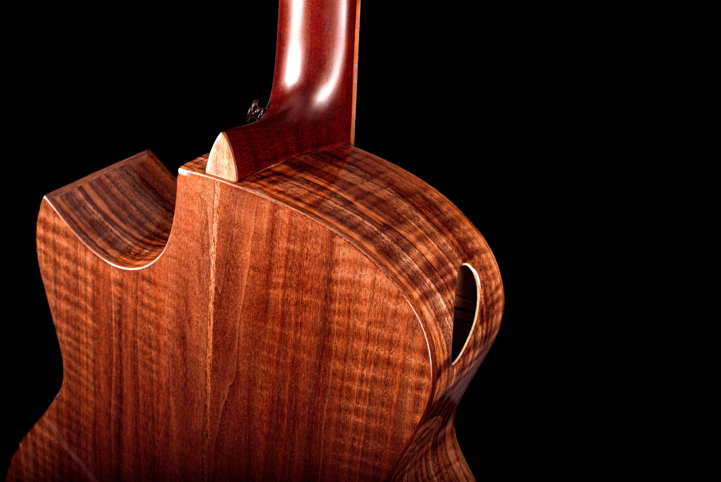 AVENIR 25 SERIES AUDITORIUM SITKA SPRUCE FLAMED WALNUT FAN FRET