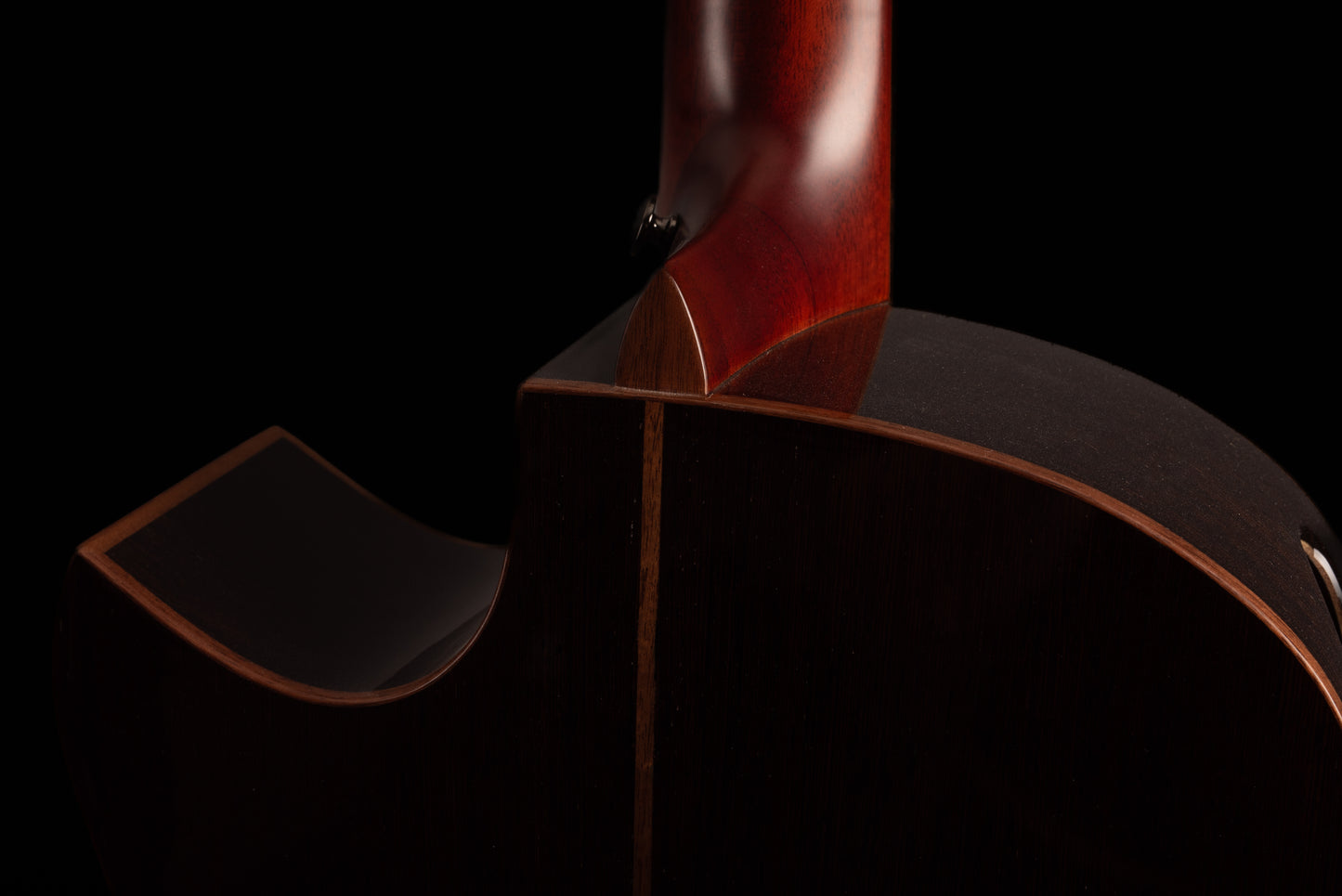 AVENIR 20 SERIES AUDITORIUM ENGELMANN SPRUCE WENGE FAN FRET